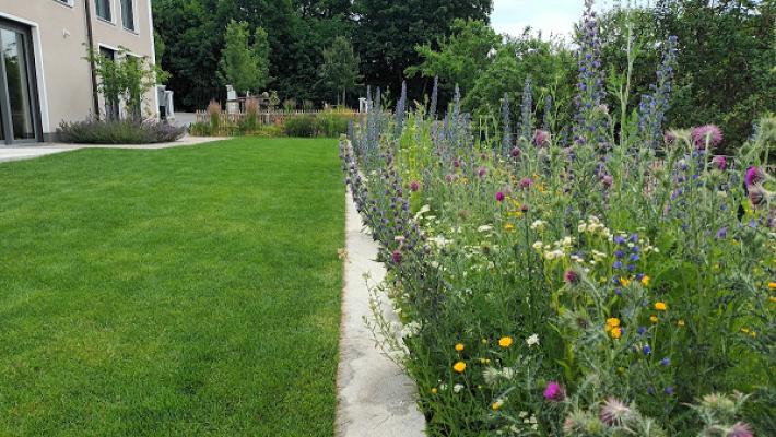 Naturgartenshop – Saatgut, Wildstauden, Gehölze, Blumenzwiebeln, Nisthilfen und mehr online kaufen