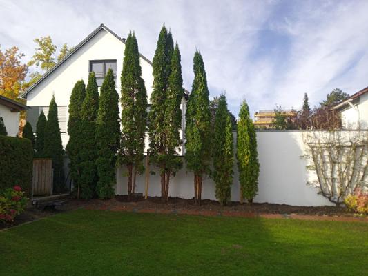 Tom's Gartenservice - Permakultur, Baum, Garten