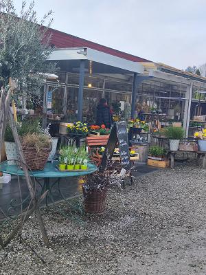 Die Mühlbachgärtnerei Beubl