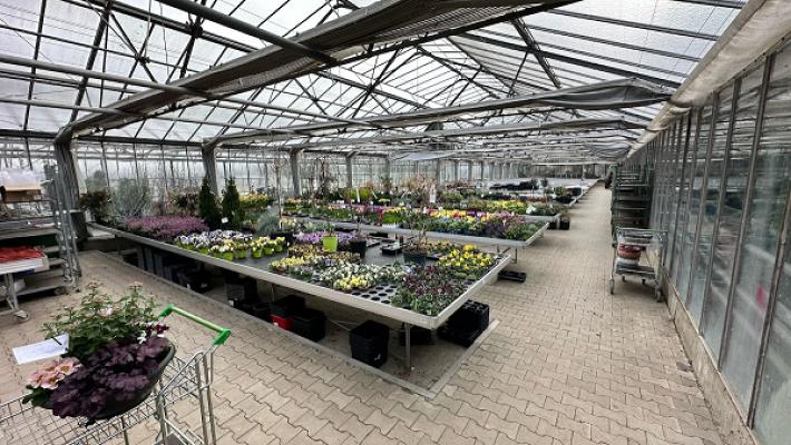 Bauer Gärtnerei und Meisterbetrieb für Floristik