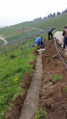 682dda6a724cc