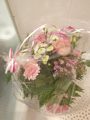 Blumen Albertshofer, Garten- und Landschaftsbau