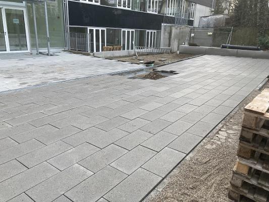 Mimoza Aga Garten und Landschaftbau