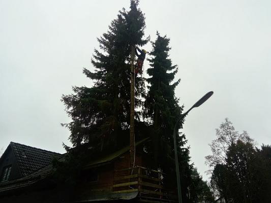 Baum und Industriekletterer