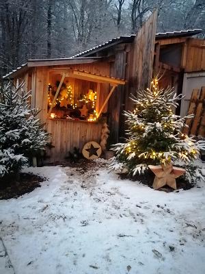 Monika Rutzmoser - Christbäume & Gartenpflege