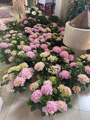 Hieber Gartenbau