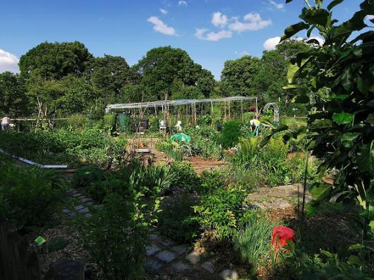 Umweltgarten