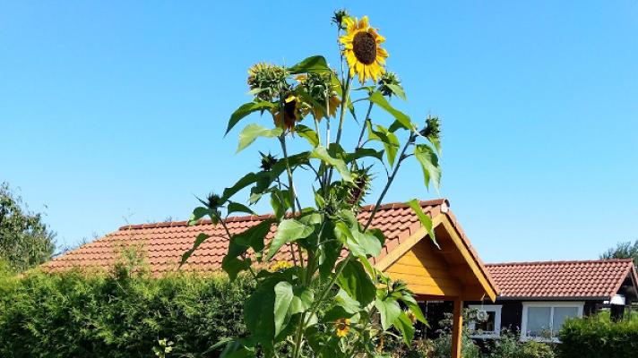 Holiday Kleingartenverein Aschheim - Heimstettener See e.V.