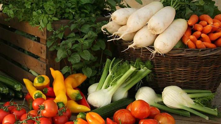 Gärtnerei Böck GmbH & Co. KG