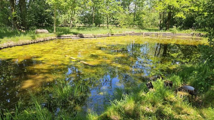 Riedhausen mein Garten