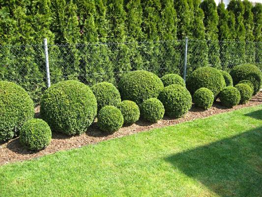 Gartenpflege Adamek