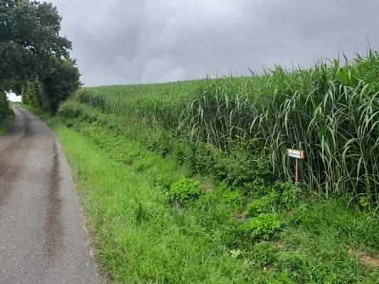 682e3681e3a89