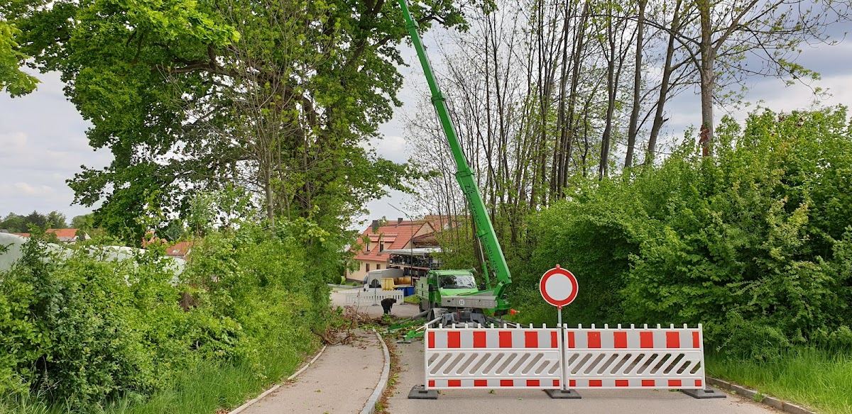 682e368b24515