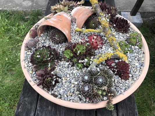 Bernhard Scharnagl Gartenbau