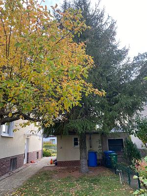 MSHG Haus und Gartenservice