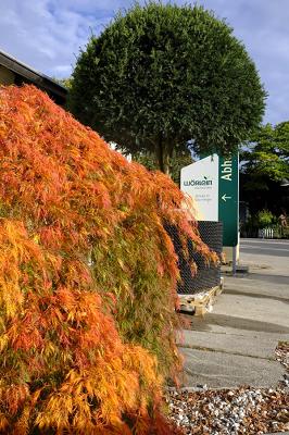 Wörlein Baumschulen GmbH