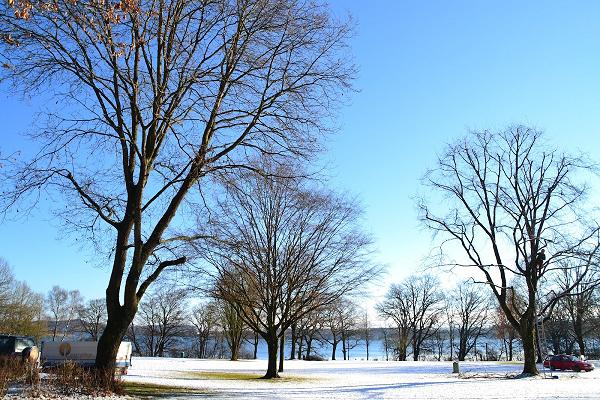 Baumpflege Ammersee GmbH