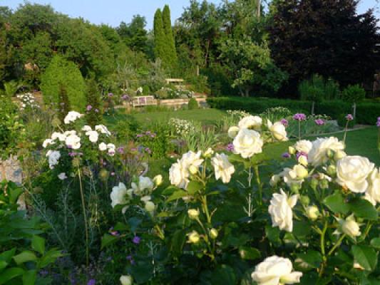 Angela Schmölz Landschaftsarchitektin
