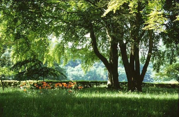 Sachverständigen-Büro Wendler