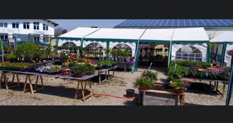 Flowerpoint Schongau Gärtnerei Pflanzen