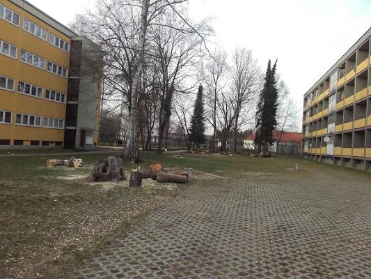 Werner Scherer Garten- und Landschaftsbau