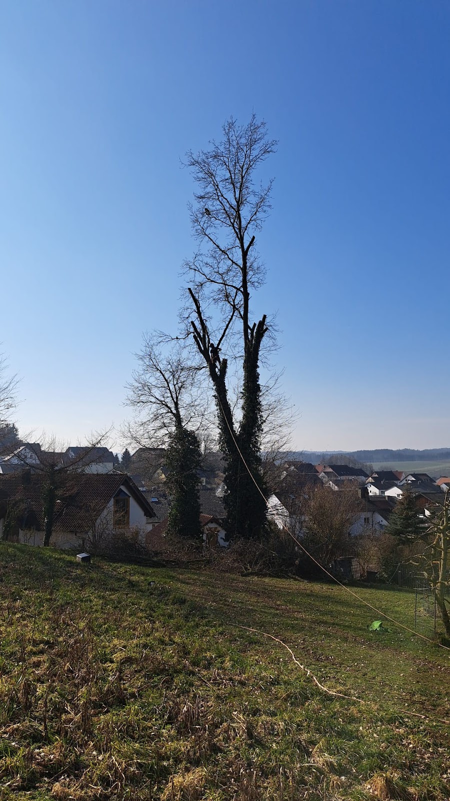 682e385175a65
