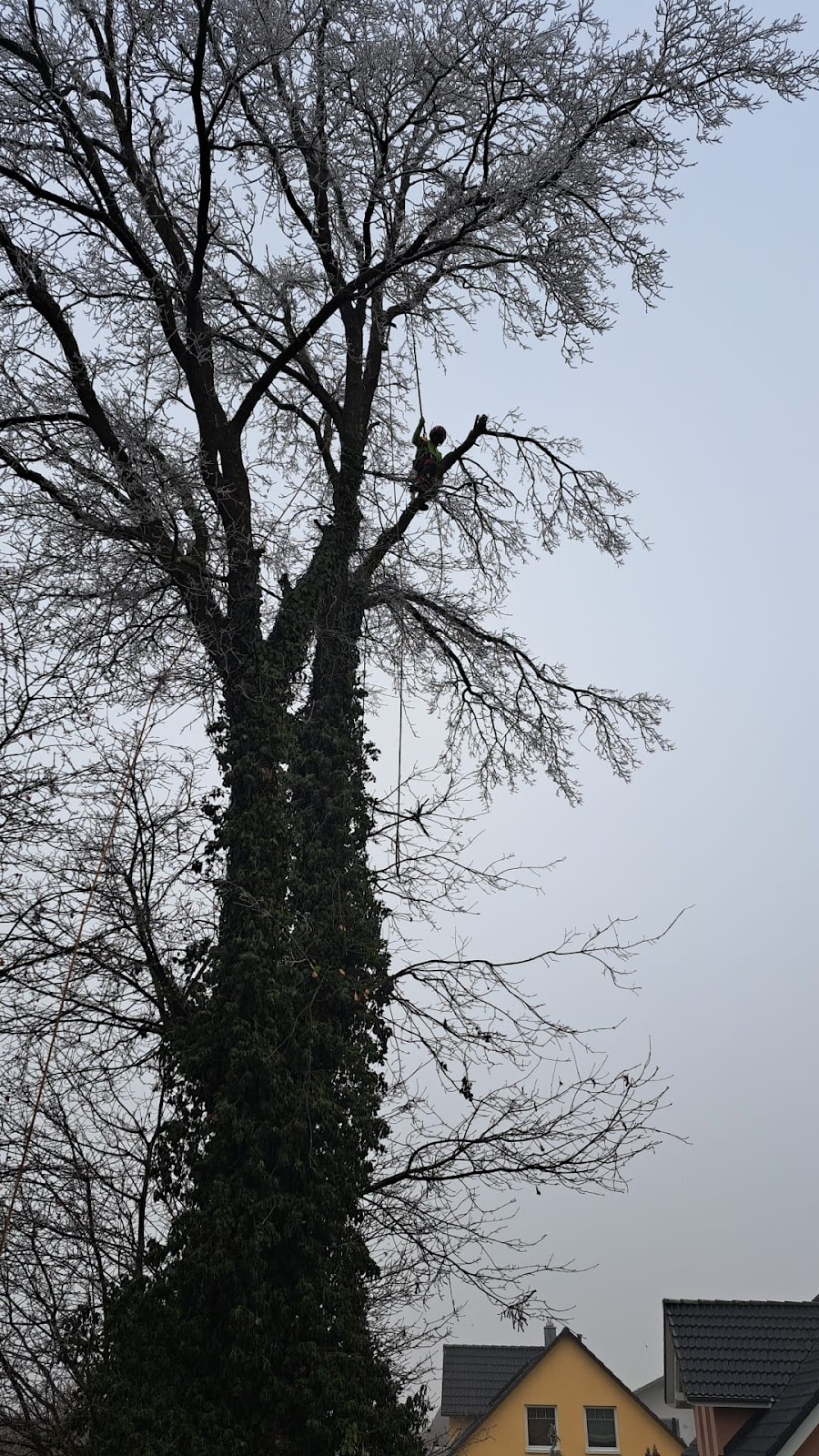 682e38522f846