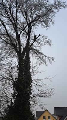 682e38522f846