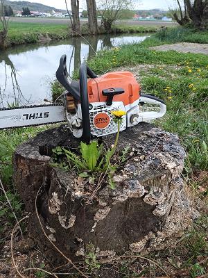 WF Dienstleistungsservice #Wurzelfräsen