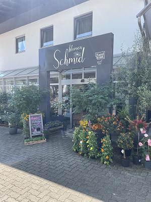 Schmid Blumen
