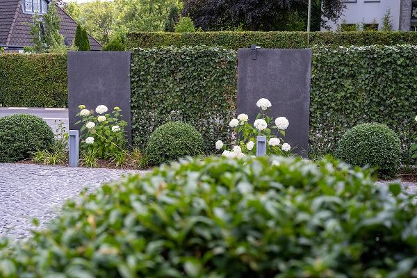 Schotten der Gärtner