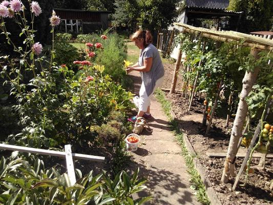 Bierbachs Garten- & Landschaftsbau