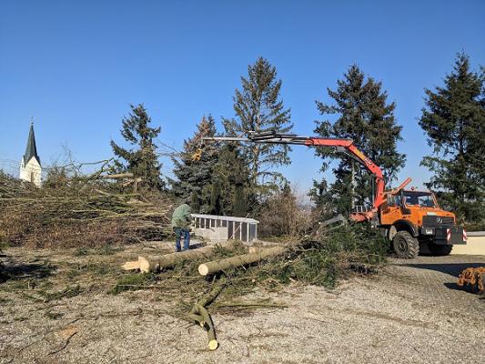 Gschaider Problembaumfällungen