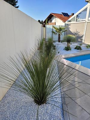 Pflege deinen Garten