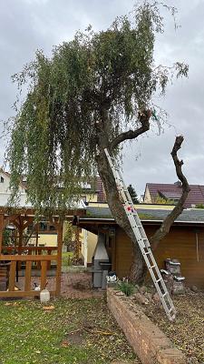 Tom Wulff Garten- und Landschaftsbau