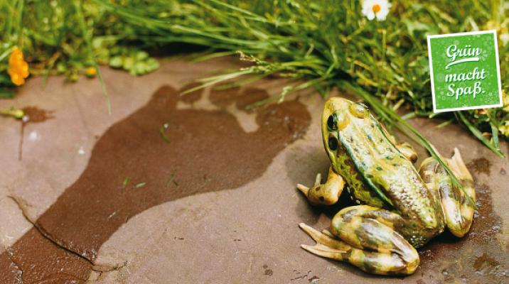 Widl Garten- und Landschaftsbau