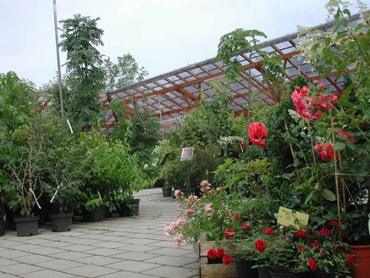Staudinger - Der Pflanzenmarkt im Grünen