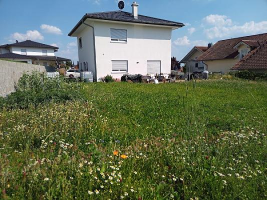 GartenzwergGmbh