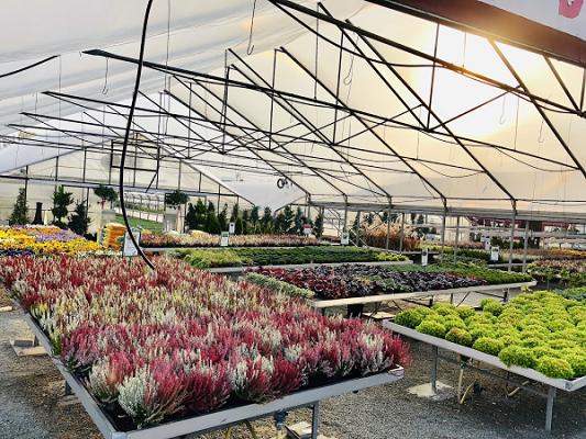 Bruckmeier Josef Marco Gärtnerei