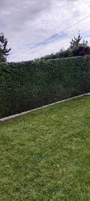 682e3b39d2d04