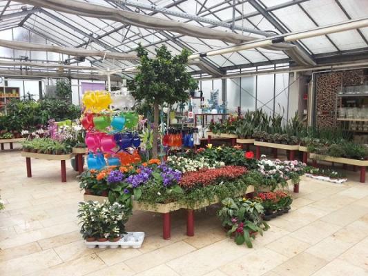 Gärtnerei Biller Blumen - Pflanzen - Floristik
