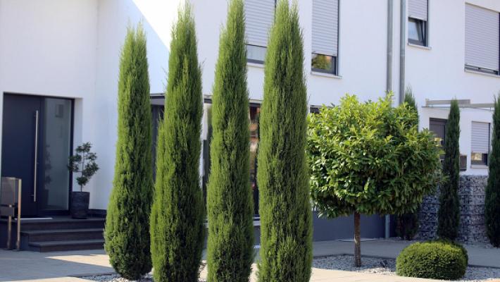 Emri Garten & Landschaftsbau