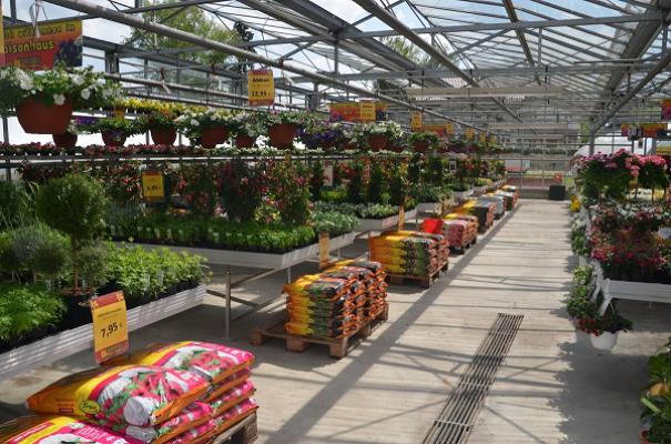 Blumen Gärtnerei Dichtl