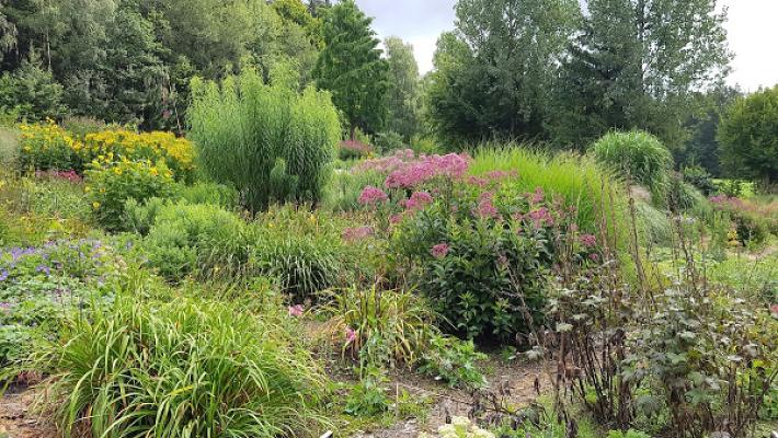 Staudengärtnerei Probst