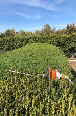 David Kraatz Garten- und Landschaftsbau