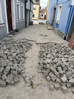 A.S Elezi Garten & Landschaftsbau