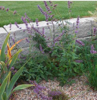 Anetzberger GbR Gartengestaltung - Floristik