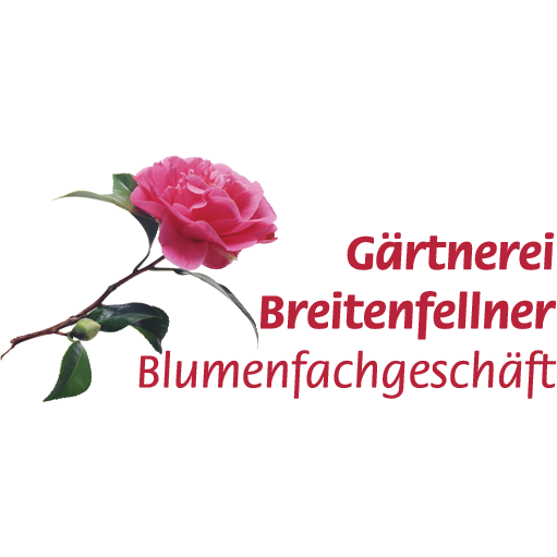 682e3ca29bb37