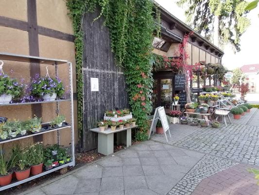 Gärtnerei Heinrich