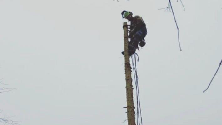 Baumpflege Enzesberger